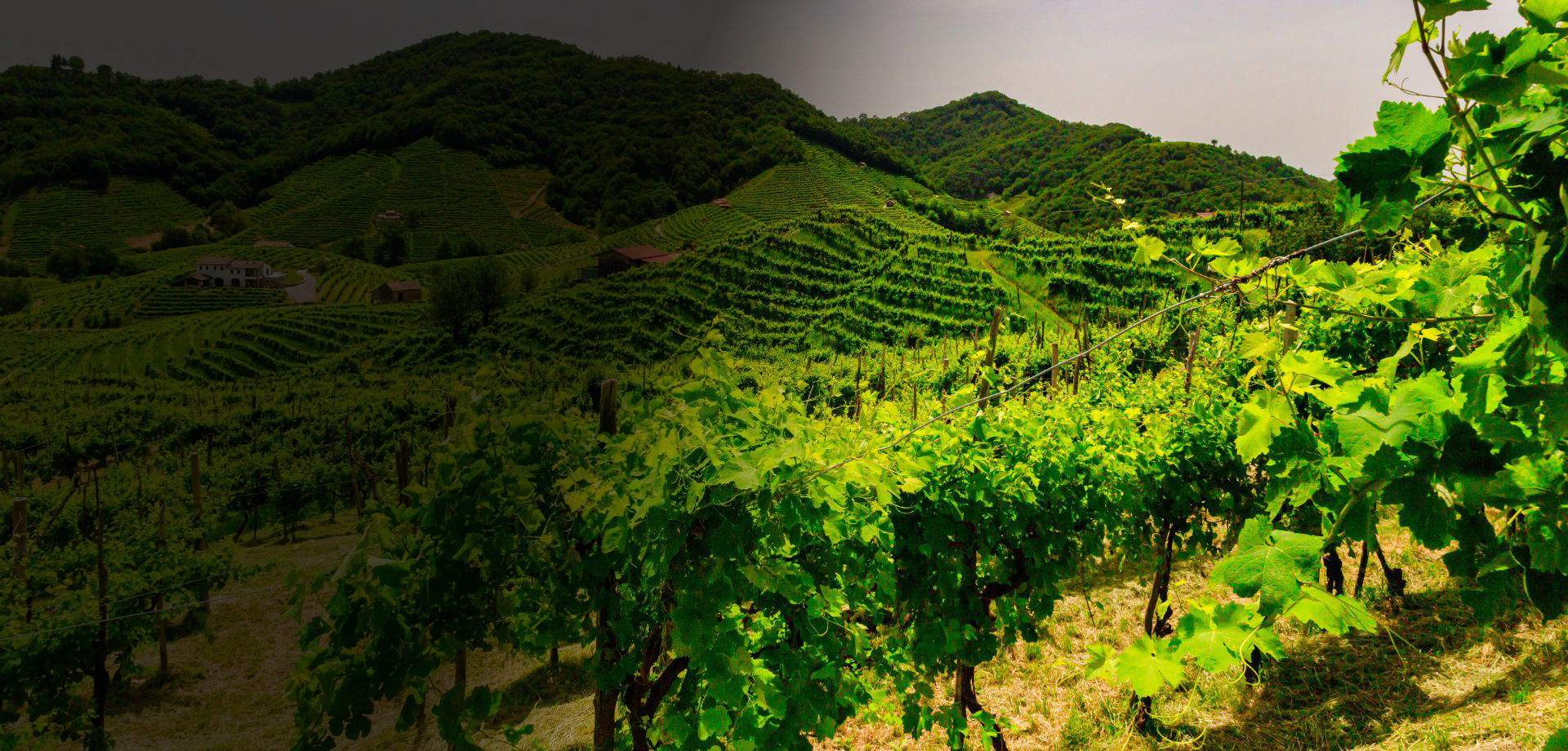 arrière-plan en parallaxe